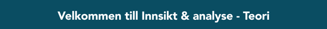 innsiktteori